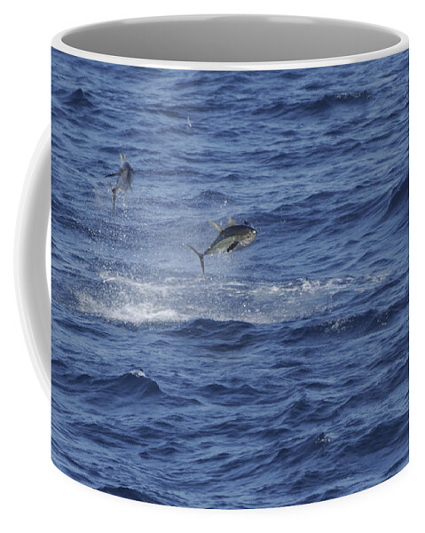 Yellowfin Coffee Mug featuring the photograph Two Jumping Yellowfin Tuna by Bradford Martin