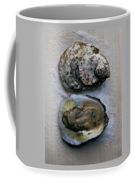 Two Oysters Coffee Mug