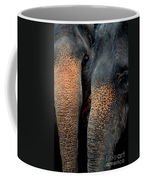 Michelle Meenawong Coffee Mug featuring the photograph Two Pals by Michelle Meenawong