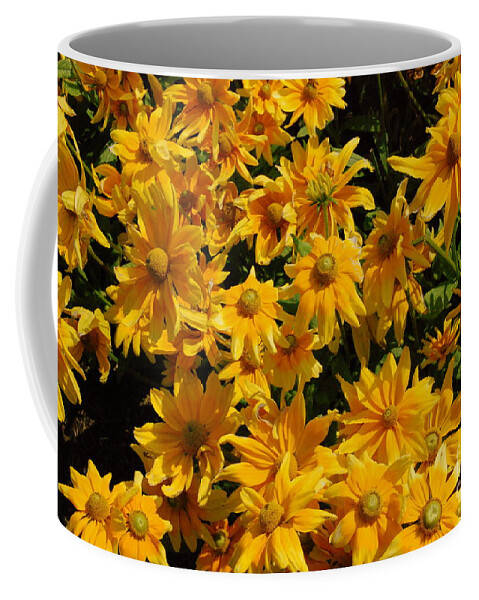 Two Toned Coffee Mug featuring the photograph Two Toned Yellow Blooms by Eunice Miller