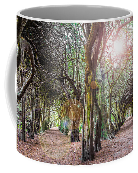 Campus Coffee Mug featuring the photograph Two Tunnels Taxus by Semmick Photo