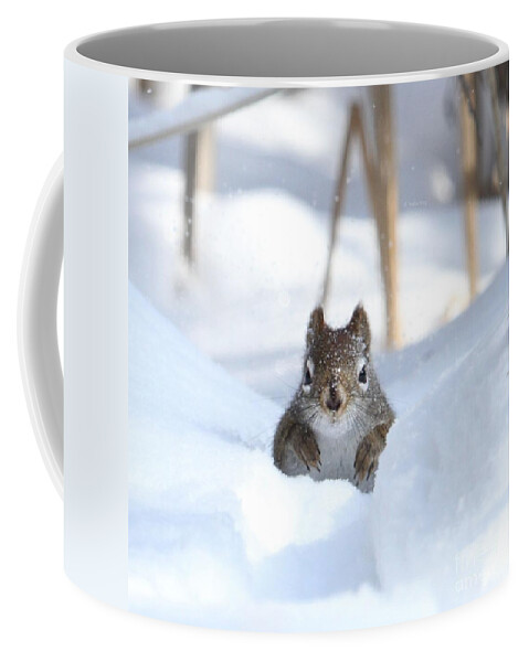 Squirrel Coffee Mug featuring the photograph Is winter over yet by Heather King