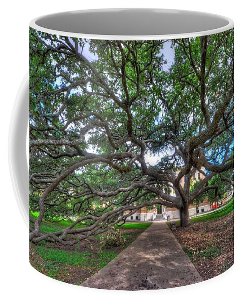 Century Tree Coffee Mug featuring the photograph Under the Century Tree by David Morefield