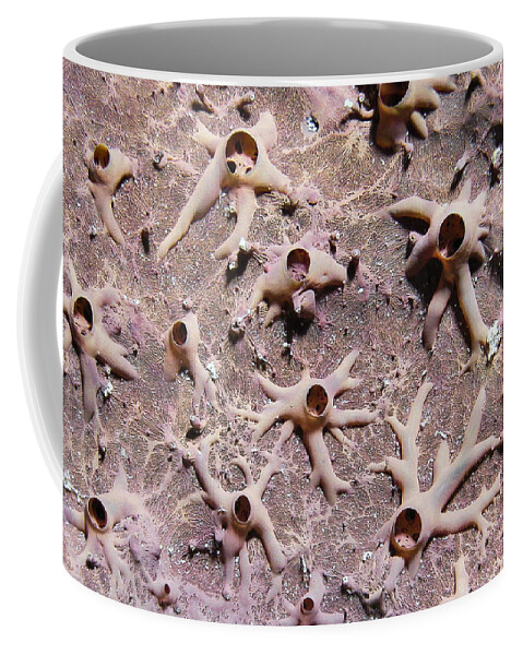 Underwater Coffee Mug featuring the photograph Underwater Mystery by Jean Noren