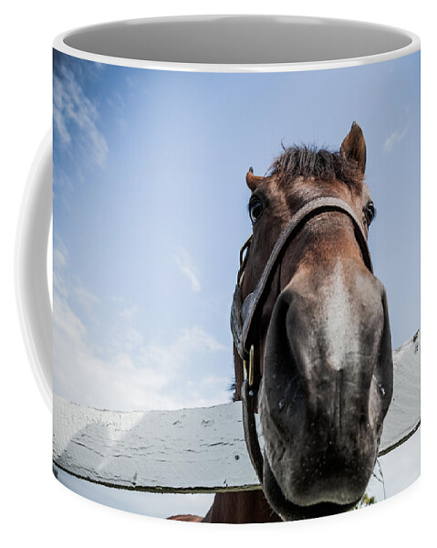 Horse Coffee Mug featuring the photograph Up close by Alexey Stiop