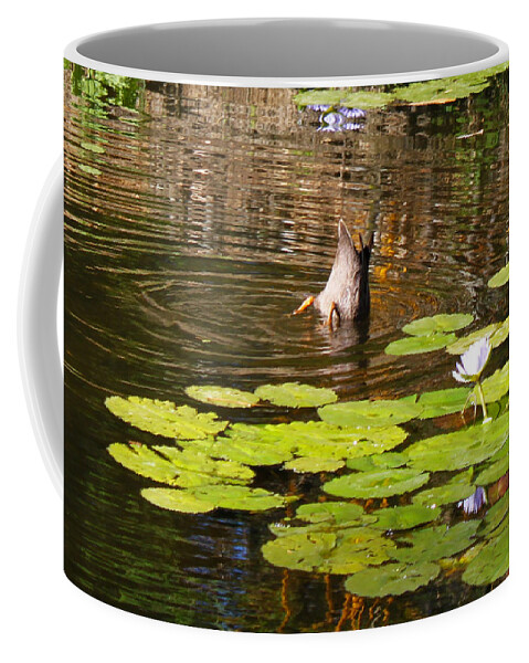 Duck Coffee Mug featuring the photograph Upside Down Down Under by Susan Vineyard