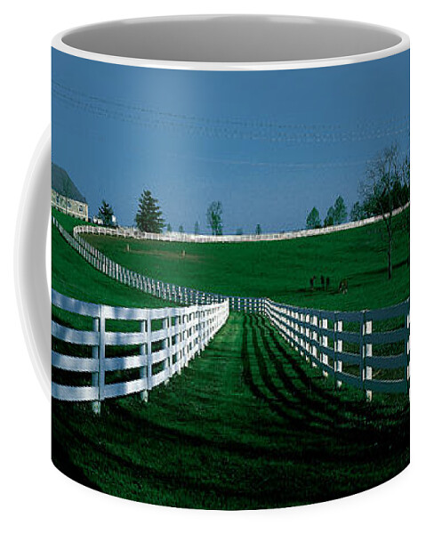 Photography Coffee Mug featuring the photograph Usa, Kentucky, Lexington, Horse Farm by Panoramic Images