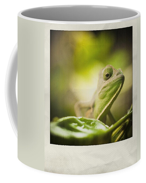 Veiled Coffee Mug featuring the photograph Veiled Chameleon Polaroid by Bradley R Youngberg