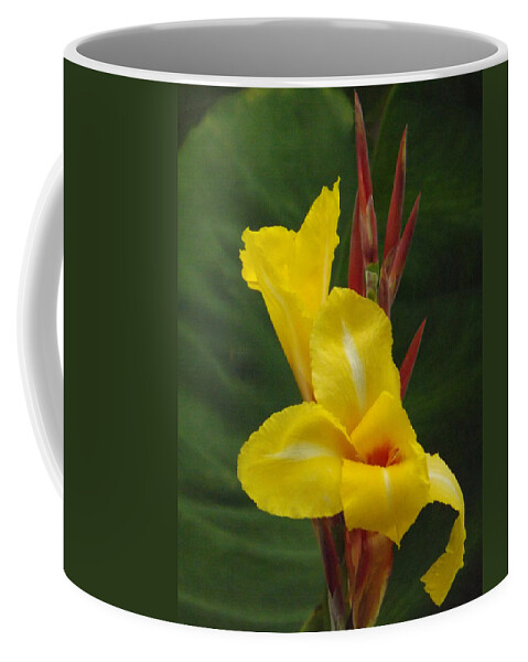 Flower Coffee Mug featuring the photograph Velvety Yellow Iris by Brenda Brown