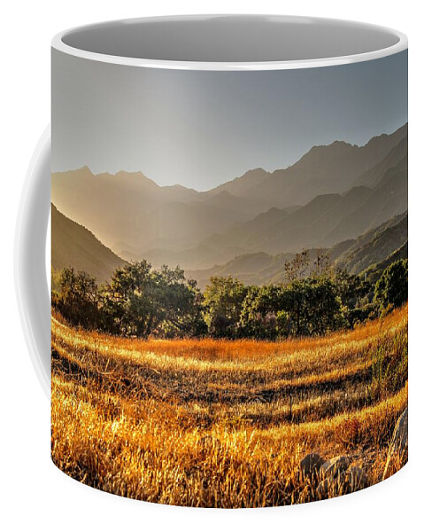 River Coffee Mug featuring the photograph Ventura River Preserve by Liz Vernand