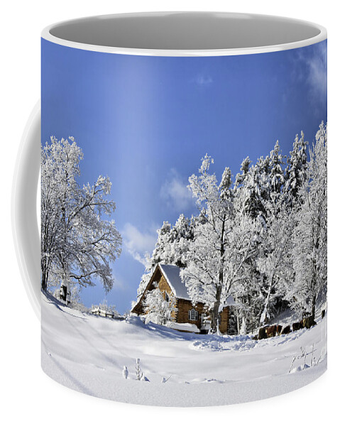 Winter Coffee Mug featuring the photograph Vermont Winter Beauty by Deborah Benoit