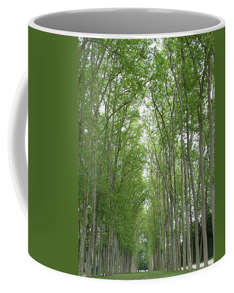 Versailles Coffee Mug featuring the photograph Versailles Tree Garden 2005 by Cleaster Cotton