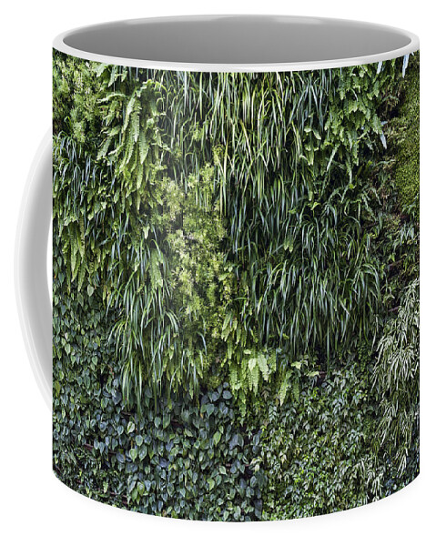Conservatory Coffee Mug featuring the photograph Vertical Garden by John Greim