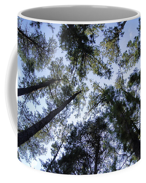 Vertigo Coffee Mug featuring the photograph Vertigo by Cricket Hackmann