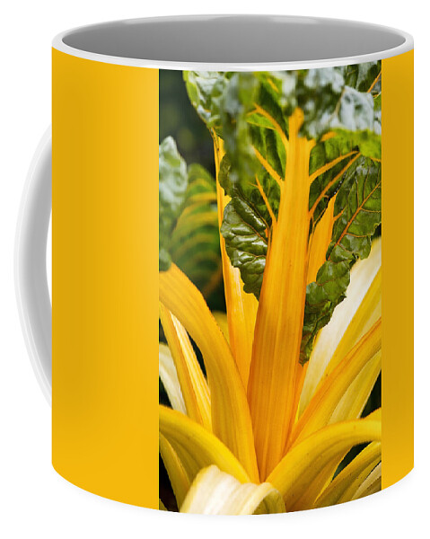 Shirley Mitchell Coffee Mug featuring the photograph Vibrant Veg -3 by Shirley Mitchell