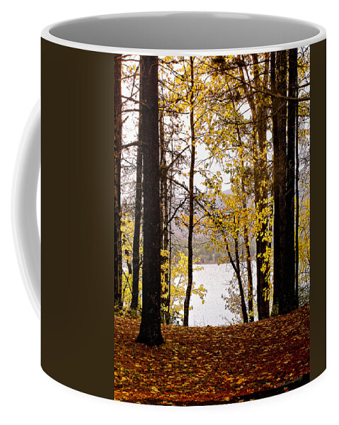 Glacier Park Coffee Mug featuring the photograph View of Lake McDonald by Susan Kinney