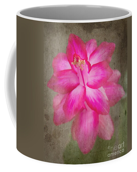 Jemmy Archer Coffee Mug featuring the photograph Vintage Christmas Cactus by Jemmy Archer