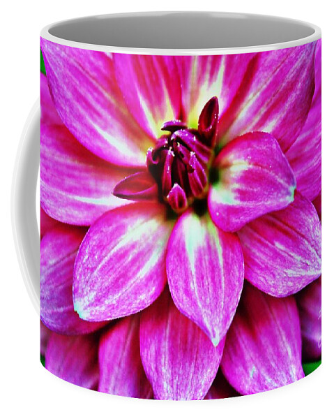 Dahlia Coffee Mug featuring the photograph Virbrant Pink Dahlia by Judy Palkimas