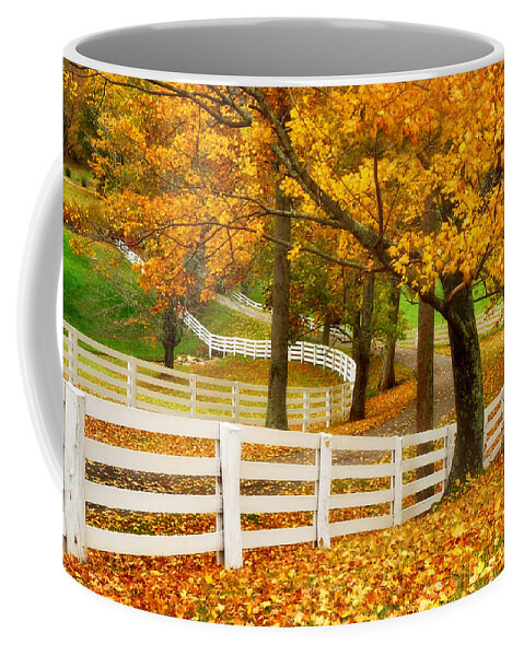 Virginia Horse Country Coffee Mug featuring the photograph Virginia horse country by Carolyn Derstine