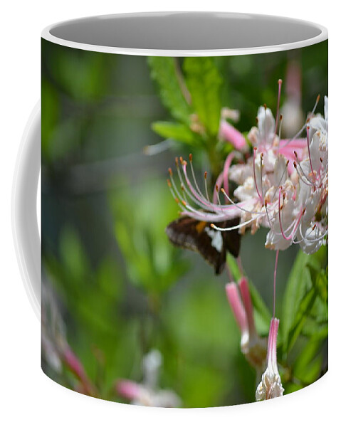 Moth Coffee Mug featuring the photograph Visitor by Tara Potts
