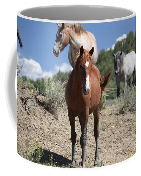 Horse Coffee Mug featuring the photograph Visitors by Veronica Batterson