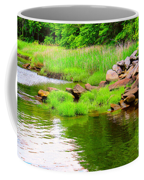 Water Coffee Mug featuring the photograph Visual Stillness by Judy Palkimas
