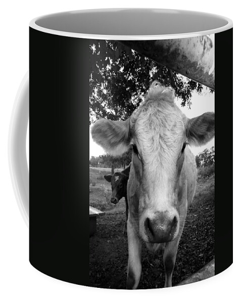 Kelly Coffee Mug featuring the photograph Cow #1 by Kelly Hazel