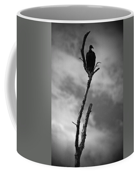 Everglades Coffee Mug featuring the photograph Vulture Silhouette by Bradley R Youngberg