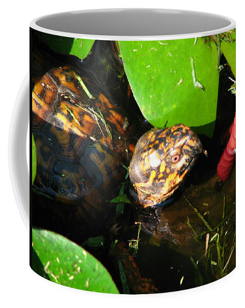 Box Turtle Coffee Mug featuring the photograph Wade in the Water by Cleaster Cotton