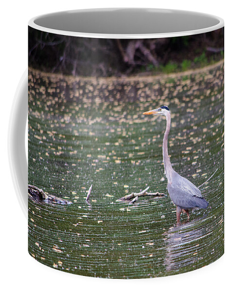 Crane Coffee Mug featuring the photograph Wading Crane by Susan McMenamin
