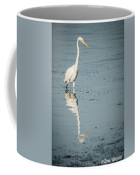 Englewood Coffee Mug featuring the photograph Wading for Fish by Joan Wallner