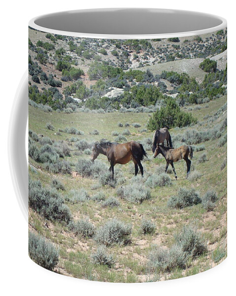 Wild Horses Coffee Mug featuring the photograph Wait Momma by Susan Woodward