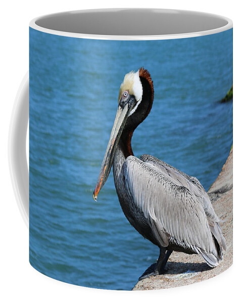 Fishing Coffee Mug featuring the photograph Waiting for a Fish by Christy Pooschke