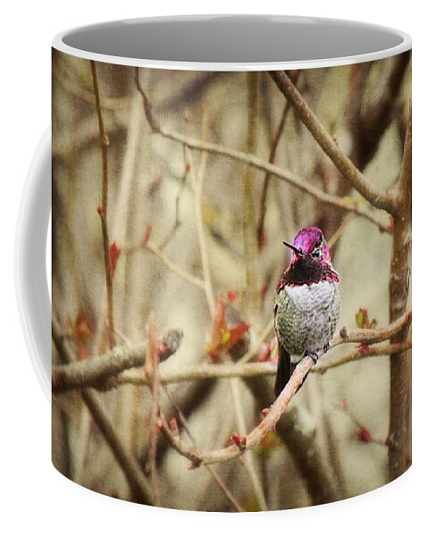 Hummingbird Coffee Mug featuring the photograph Waiting for Blooms by Melanie Lankford Photography