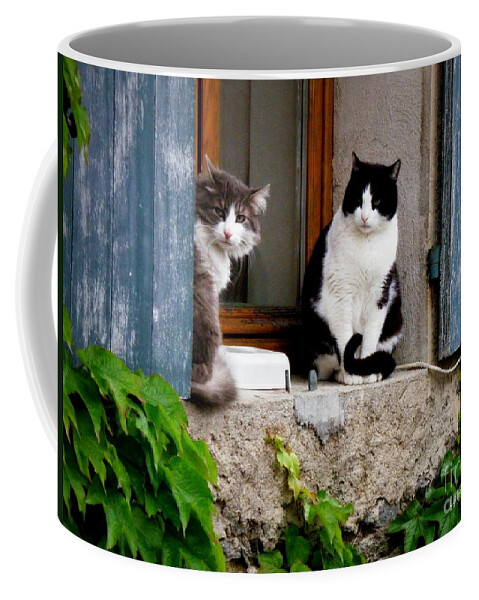 Cats Coffee Mug featuring the photograph Waiting for Dinner by Lainie Wrightson