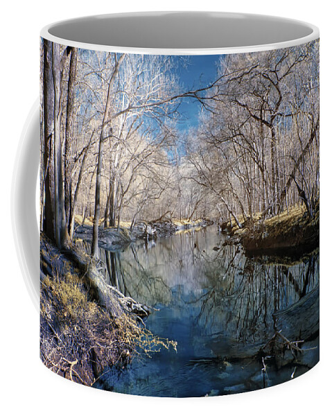 Bull Run State Park Coffee Mug featuring the photograph Waiting for Spring by Cindy Archbell