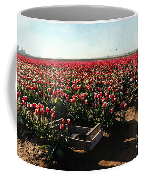 Tulips Coffee Mug featuring the photograph Waiting To Be Picked by Sylvia Cook