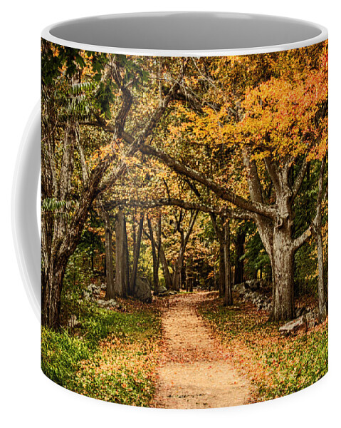 Autumn Foliage New England Coffee Mug featuring the photograph Walk in the woods by Jeff Folger