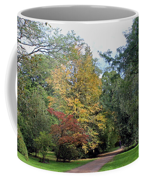Walk In The Woods Coffee Mug featuring the photograph Walk in the Woods by Tony Murtagh
