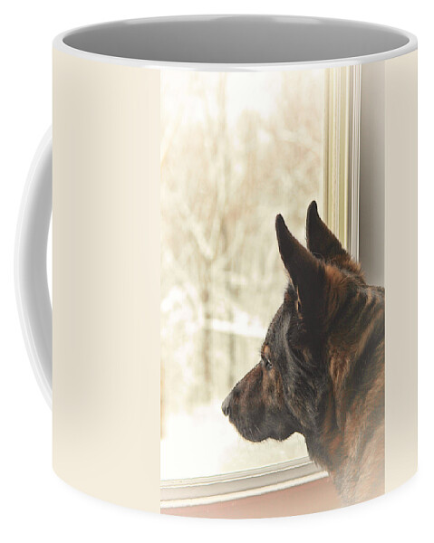 Wanting To Play Coffee Mug featuring the photograph Wanting To Play by Karol Livote