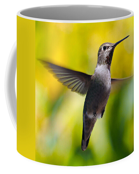 Hummingbirds Coffee Mug featuring the photograph Watching You by Joe Schofield