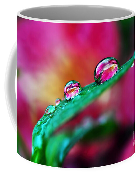 Water Droplets In Magenta Coffee Mug featuring the photograph Water Droplets in magenta by Kaye Menner