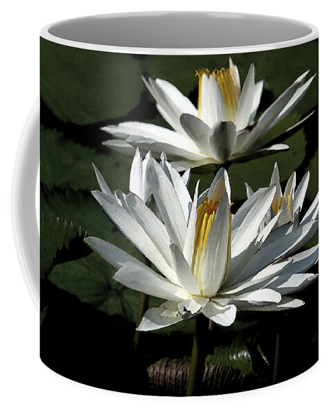 Lillies Coffee Mug featuring the photograph Water Lilies by John Freidenberg