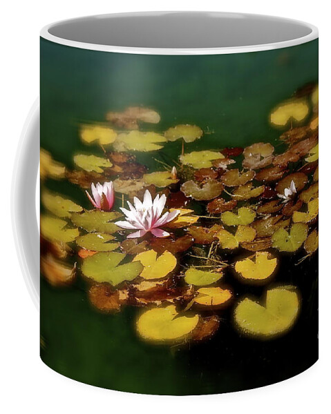 Lily Coffee Mug featuring the photograph Water Lilies by Linda Bianic