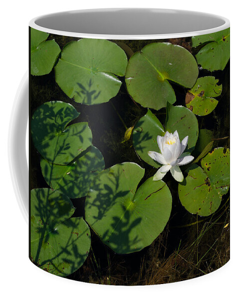 Water Lily Coffee Mug featuring the photograph Water Lily by Jim Shackett