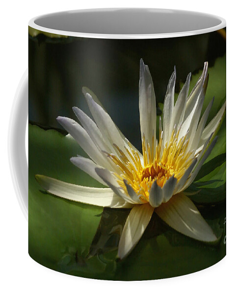 Prott Coffee Mug featuring the photograph Water Lily 2 by Rudi Prott