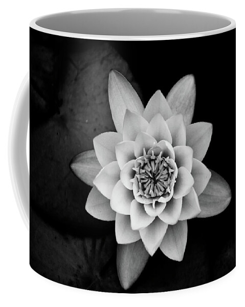 Art Coffee Mug featuring the photograph Water Lily by Hakon Soreide