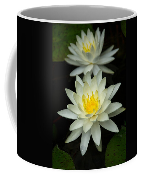 Water Lily Coffee Mug featuring the photograph Water Lily by Jemmy Archer