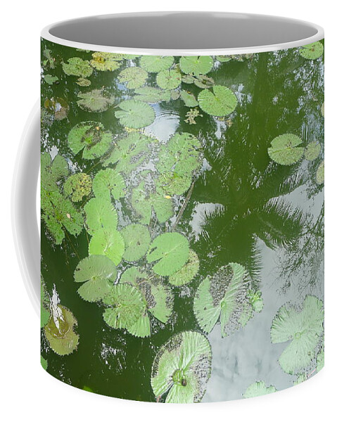 Reflection Coffee Mug featuring the photograph Water Lily Leaves and Palm Trees by Nora Boghossian