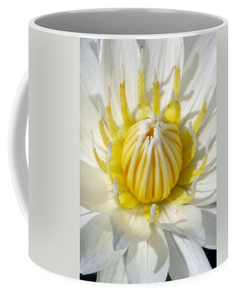 Water Lily Coffee Mug featuring the photograph Water Lily - The Awakening by Pamela Critchlow